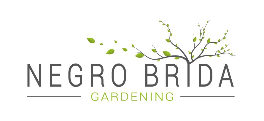 Negro Brida Gardening