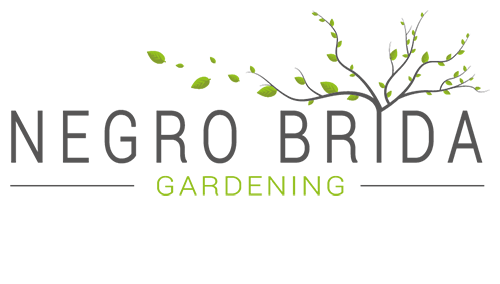 Negro Brida Gardening